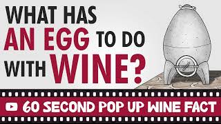 Why Adding Eggs to Your Wine Fermentation Process Could Change Everything [upl. by Eelreveb592]