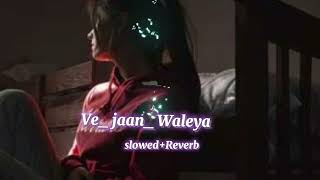 Ve JaanWaleya slowed amp reverb lofi song We Jaan waliya slowed amp reverb lofi song [upl. by Eetsim747]