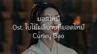 คำอ่านpinyinchinese มอดไหม้ 《焰》 Curley Gao Ost ใบไม้ผลิบานที่มอดไหม้ [upl. by Htessil]