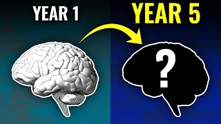 How Years Of Language Learning Affects Your Brain [upl. by Gereld]