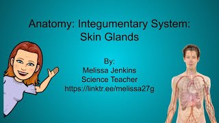 Integumentary System Skin Glands [upl. by Heinrich]