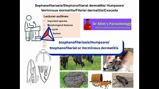 Hump sore in cattle morphology pathogenesis risk factors life cycle diagnosis amp treatment AZ [upl. by Rigby]