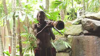 Cairns  Aboriginal Culture amp Kuranda Scenic Railway [upl. by Rimma]