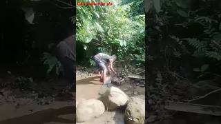 Arunachal Pradesh riverfish 🐟🐠crab🦀🦀beautiful natureytshortsindia viralvideo viralshorts [upl. by Drain]