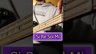 Cambio de Octavas en el bajo bass clasesdebajo aprenderbajo [upl. by Gem791]