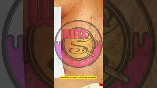 manzilian waxing Arcadia CA studio waxing hairremoval waxingstudio manzilian [upl. by Nila426]