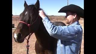 SPECIAL WAGGONER RANCH [upl. by Elsworth]