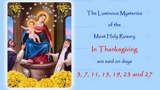 The Luminous Mysteries  In Thanksgiving  Annual 54 Day Rosary Novena [upl. by Corrie]