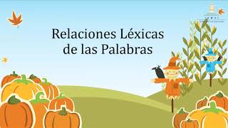 Relaciones léxicas – Octavo Grado  Español [upl. by Nwahsir775]