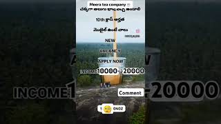 MERA tea powder company telecaller job vacancy information comment me shorts india viralvideo [upl. by Kathie445]