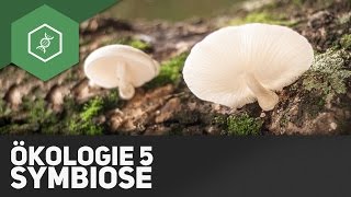 Symbiose – Ökologie 5 [upl. by Aisatsan177]