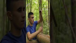 bushcraft build camp camping survival shelter wildlife skills lifehacks forest [upl. by Nash328]