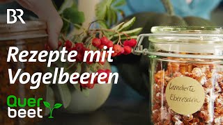 Ebereschen Wildobst kandiert und als Chutney [upl. by Yrallih967]