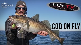 FLY TV  Cod on Fly [upl. by Hgielsa]