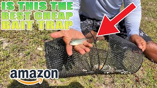 Is This the BEST Cheap BAIT TRAP on Amazon [upl. by Webb400]