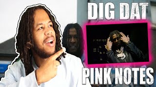 DigDat  Pink Notes Official Video [upl. by Bathsheba509]