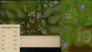 How to get to Eluned near Tyras Camp  OVEXON Clue and Tiny Elf Crystal Recharge [upl. by Nigle]