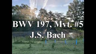 BWV 197 Mvt 5  JS Bach [upl. by Sirdna]