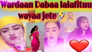 Wardaan Jali fadilow Daba lalafituu wayaa Mo jajabiduuiraa waya jete Gafate Debisaa kolifaan muchi🤣 [upl. by Togram]