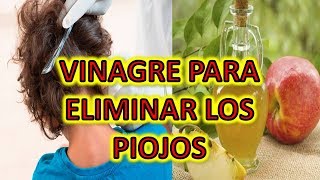 Elimina Los Piojos Y Liendres Con Vinagre – Adiós A Los Piojos Y Liendres Con Vinagre Natural [upl. by Auhsuj258]