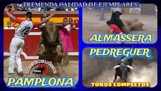 PAMPLONA ALMASSERA Y PEDREGUER  EDICIÓN VERANO 2024 [upl. by Leesa]