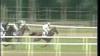 89 Magyar Derby winner Ostinato and Nino Murru 20110703 [upl. by Oletta]