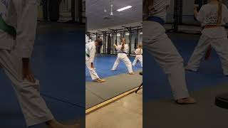 Heian Sandan karate shotokan [upl. by Ahterod138]