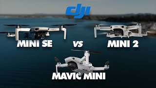 DJI MINI 2 SE NIGHT FLIGHT🛸 [upl. by Aneeled]