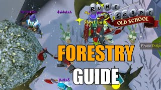 Old School RuneScape  Forestry Guide [upl. by Dorman]