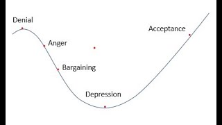 Kubler Ross Change Curve I Change Curve I Part 1 by 99operations [upl. by Orutra847]