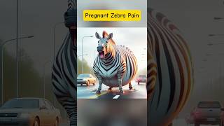 Pregnant zebra 🦓 Pain foryou zebra shorts viralshort trending [upl. by Fondea]