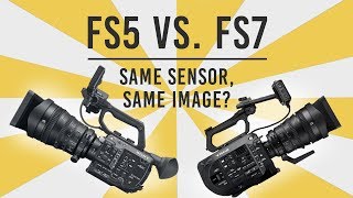 FS5 vs FS7 Shootout Same Sensor Same Image [upl. by Kemp]