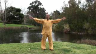 Ziran Qigong Level 1 Form  1st Half [upl. by Wagshul393]