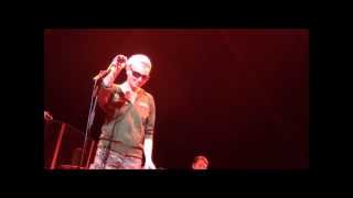 Sinéad OConnor  Fire on Babylon live  London  20131210 [upl. by Hetty]