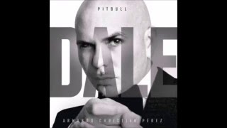 Pitbull  Que Lo Que Electro Punta RemixAudio FeatSensato Del Patio Papayo amp El Chevo [upl. by Keiko]