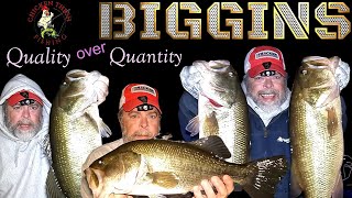 Biggins S1 Ep 1 Big Bass on Chicken Thigh Fishing bigbass bassfishing largemouthbassfishing [upl. by Asyar115]