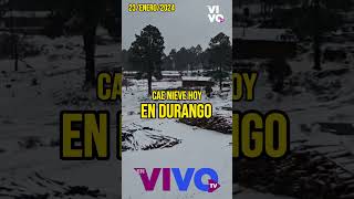 Cae nieve hoy en la Sierra de Durango Al menos se reportan nevadas en comunidades de Guanaceví [upl. by Harihat]