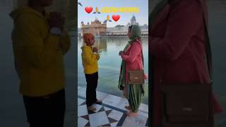 ❤🙏Goldentemple🙏❤ shotvideo [upl. by Heinrick]