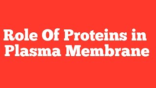 Role of Proteins in Plasma Membrane  Peripheral Proteins  Intrinsic Proteins  Cytology [upl. by Ahsin]