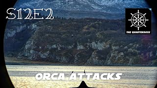 The Quarter Deck Podcast S12E2  Orca Attacks [upl. by Monaco]