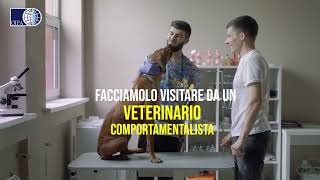 Botti di Capodanno il video decalogo di Oipa per proteggere gli animali [upl. by Enidanreb]