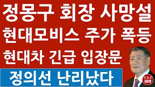 긴급 ‘정몽구 사망설’에 난리난 현대모비스 해명 공식까지 증권 지라시에 주가 폭등 현대차 정의선 난리났다 진성호의 융단폭격 [upl. by Ylrak]