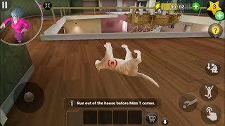 Scary Teacher 3D Version 541  Nick Saves The Cat Again [upl. by Lyudmila]