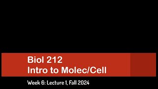 CSULB Biol 212 Fall 2024  Week 6 Lecture 1 [upl. by Friedman980]