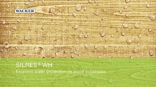 SILRES® WH  Excellent water protection on wood substrates [upl. by Anilram]