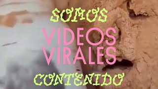 Selección de Videos Virales México Semana 2  SOMOS CONTENIDO [upl. by Regina938]