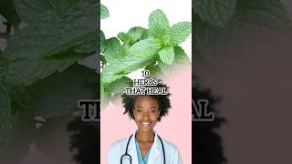 10 HERBS THAT HEAL health [upl. by Enyrat]