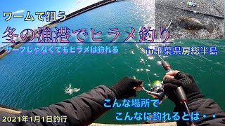 新年のおだやかな漁港でワームで釣りしたらまさかの大物爆釣だった話【2021年千葉県の冬の釣り】 [upl. by Neema914]