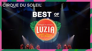 The Best of LUZIA  Cirque du Soleil [upl. by Gothard980]