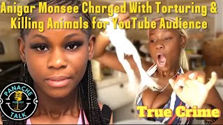 Anigar Monsee Charged With Torturing amp Killing Animals For Youtube Audience [upl. by Eiznikcm]